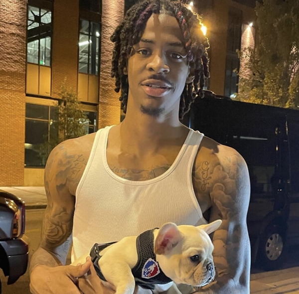 🐶Экс-чемпион НБА поднимает миллионы на французских бульдогах. Он утверждает, что цена на щенка доходит до 500 тысяч долларов 🐶Экс-чемпион НБА поднимает миллионы на французских бульдогах. Он утверждает, что цена на щенка доходит до 500 тысяч долларов