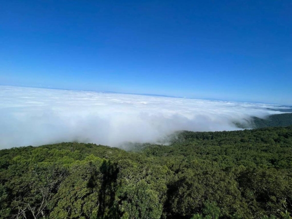 Как сейчас живет человек, не захотевший душить фристайл: уехал в США с помощью топ-велосипедиста и в 40 начал новую жизнь – считает, спорта в Беларуси не осталось Как сейчас живет человек, не захотевший душить фристайл: уехал в США с помощью топ-велосипедиста и в 40 начал новую жизнь – считает, спорта в Беларуси не осталось