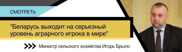 Хоккейное минское "Динамо" потерпело первое поражение в сезоне КХЛ